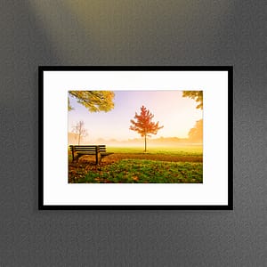 MY PARK - With sample frame | Direct Order : Item #1354